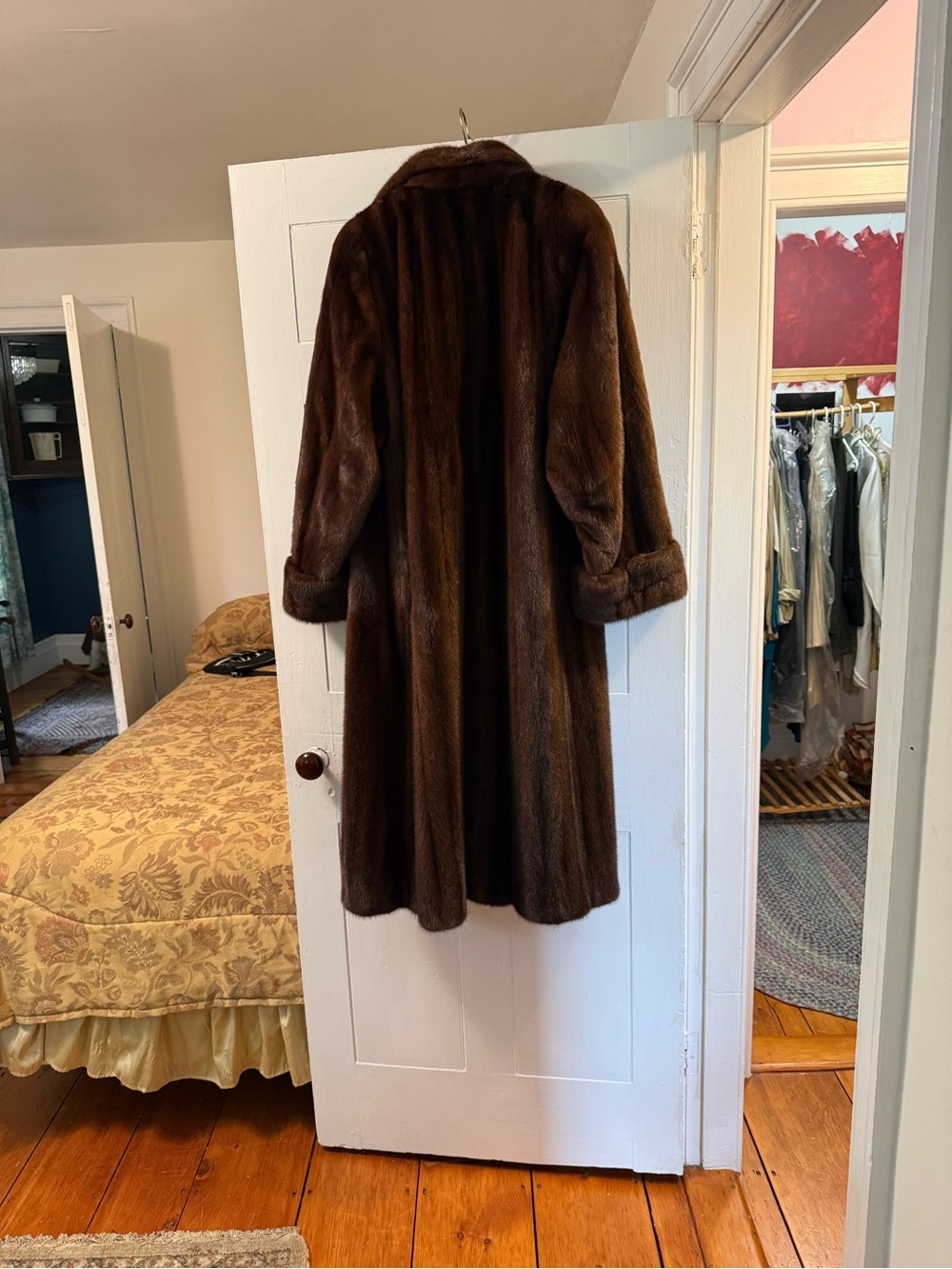 Stunning Full Length Mahogany Fur for Women - Picture 2 of 9